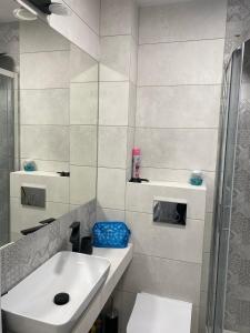 Nowoczesny Apartament Nad Łomnicą