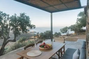 Avdos' olive house - land tales - Kalloni Tinou