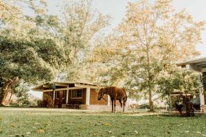 Hotel Fundo El Arrabal