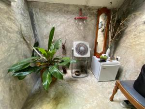 Moksha eco villa Ella