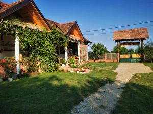 Amanet House Zasavica