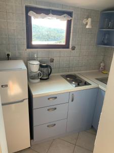 One bedroom apartment with terrace and seaview - B