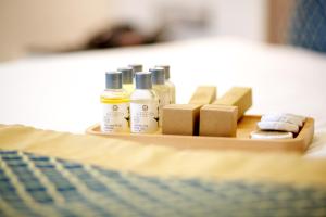 Deluxe Junior Suite room in Beethoven Premium Hotel