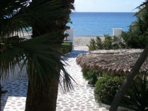 Avra Palm Lasithi Greece