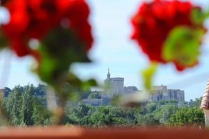 Maisons de vacances Maison de 2 chambres avec terrasse amenagee et wifi a Villeneuve les Avignon : photos des chambres