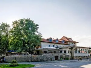 Bergwirt Hotel & Gasthof - Ebbs