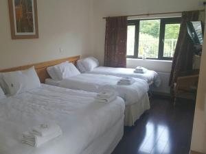 Superior Quadruple Room room in The Meetings B&B