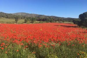 CA JOAN a VILLORES, Els Ports (País Valencià)
