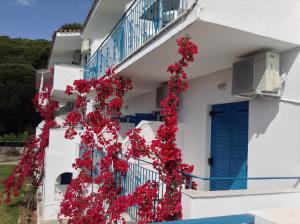 Aelia Studios Skiathos Greece