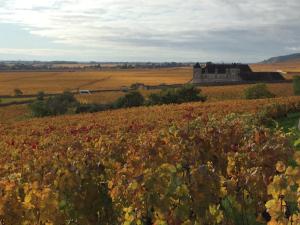 Maisons de vacances Les Hauts de Fixin, 50m2 avec exterieur sur la Route des Grands Crus, Dijon Sud : photos des chambres