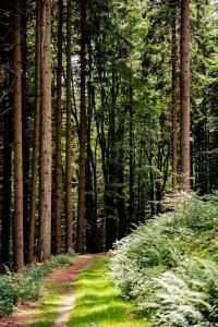 Apartmán v Žacléři Krkonoše