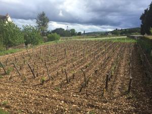 Maisons de vacances Les Hauts de Fixin, 50m2 avec exterieur sur la Route des Grands Crus, Dijon Sud : photos des chambres