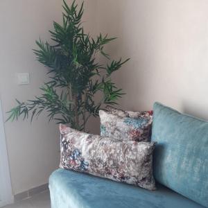 Appart. Luxueux avec piscine, cosy, bien situé