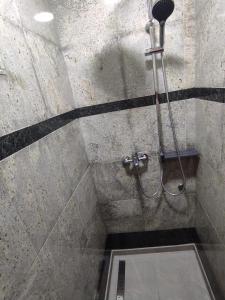 House in center of Gospic with big garden