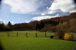 Une parenthèse en Ardenne