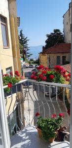 Vila Nikolla - Ubytování bez kategorie ve městě Pogradec