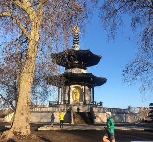 Studio, Private, independant Entrance, Central, Battersea Park