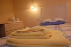 Standard Single Room with Shower room in Hotel La Michele