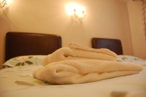 Twin Room room in Hotel La Michele