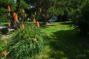 Domaine les Rousselieres