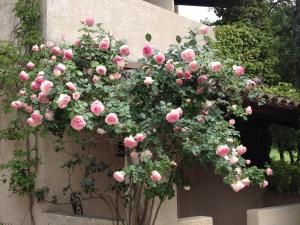 Hotels Hotel Lou Caleu restaurant le Rocher des Abeilles : photos des chambres