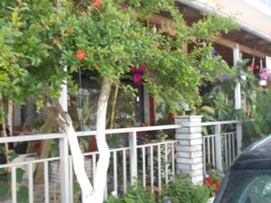 Hotel Germany Olympos Greece