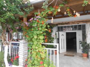 Hotel Germany Olympos Greece