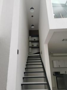 Loft Estancia Real