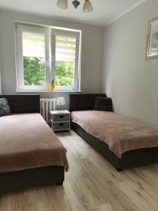 Apartament Pionierska