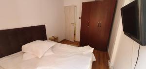 Apartament in vila langa Castelul Cantacuzino
