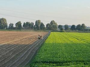 Panoramic Philippine Zeeland