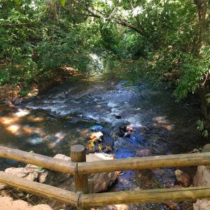 Apto 345 Thermas Paradise