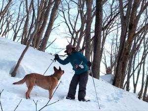 Petit Hotel Kazekozou
