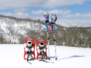 Petit Hotel Kazekozou