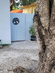 Suite Life at Chez Mercedes