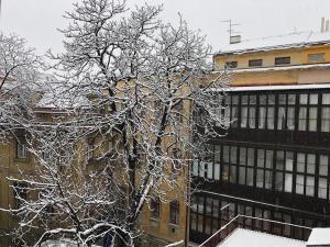 Travel&Joy backpackers