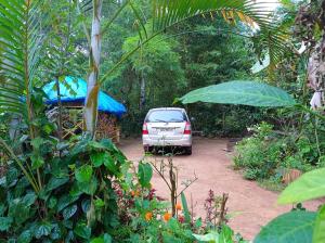dreams home estate stay 2