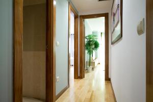 Apartamentos Adelfas