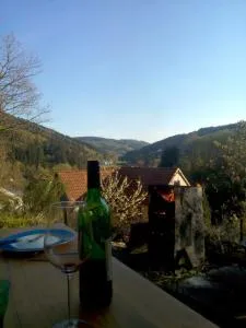 FeWo PacoHaus nähe Willingen Diemelsee - Messinghausen