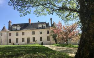 Maisons de vacances Domaine Plessis Gallu : photos des chambres