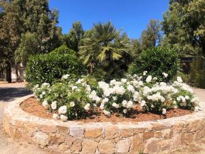 Complexes hoteliers Camping La Pinede : photos des chambres