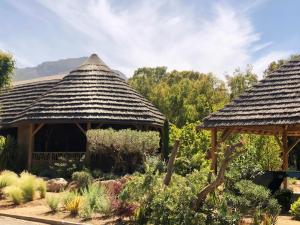 Complexes hoteliers Camping La Pinede : photos des chambres