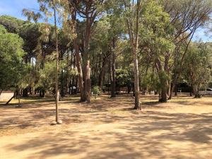 Complexes hoteliers Camping La Pinede : photos des chambres