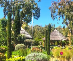 Complexes hoteliers Camping La Pinede : photos des chambres