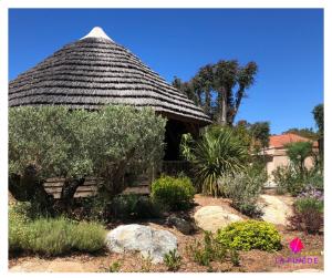 Complexes hoteliers Camping La Pinede : photos des chambres