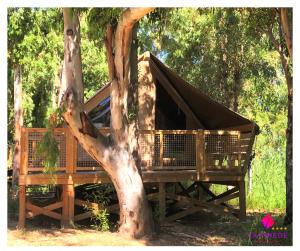 Complexes hoteliers Camping La Pinede : photos des chambres