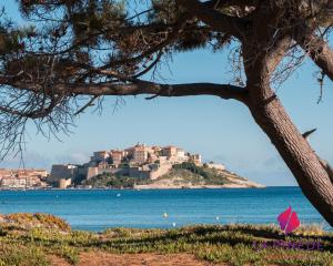 Complexes hoteliers Camping La Pinede : photos des chambres