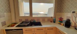 Superbe appartement avec terasse face à la mer
