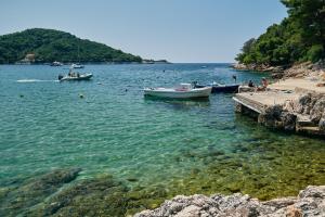 Apartments Pitarević