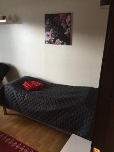 Lyngenfjord, Frøyas hus